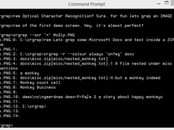 Text in Images