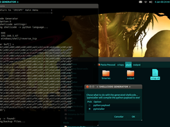 python/exe (veil evasion) module