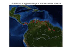 Distribution of Zygodontomys rodents in northern South America represented as a track graph computed by Croizat (with satellite image background)