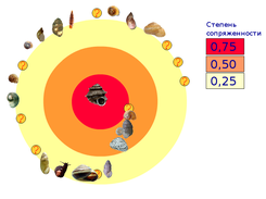 crosscorellgraph Screenshot 1