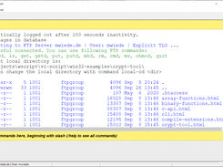 Integrated FTP client