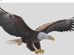 🦅 Track crypto markets like an eagle – real-time prices & volumes