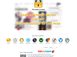 Bitcoin LITECOIN BCH Payment PHP GATEWAY Screenshot 3