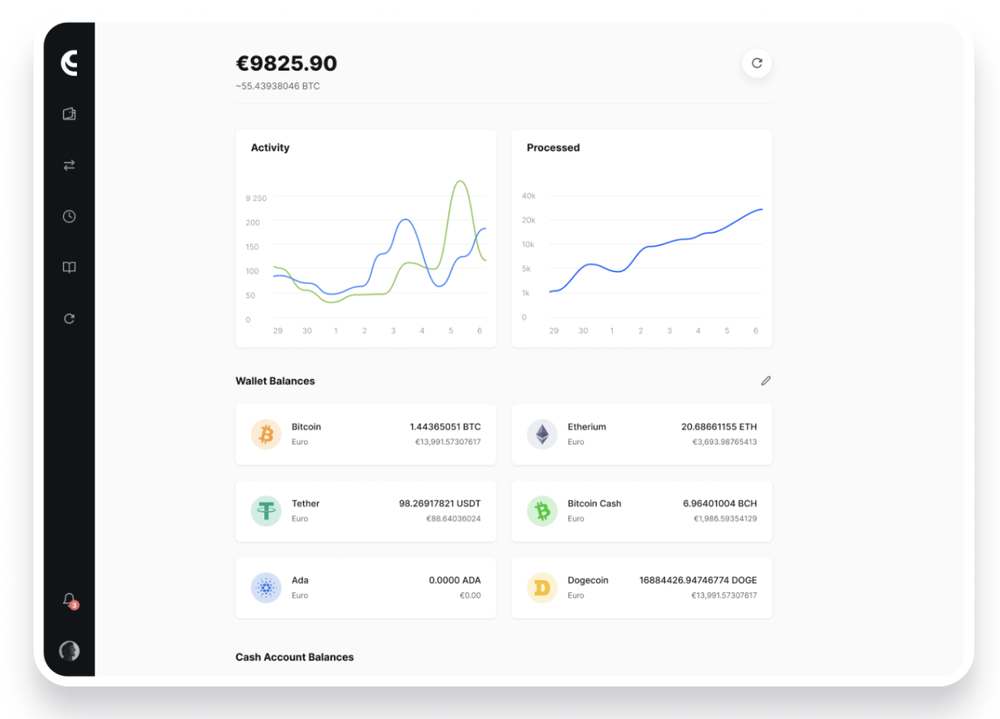 CryptoProcessing by CoinsPaid Screenshot 1