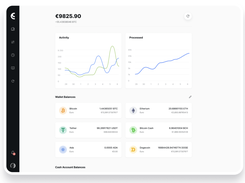 CryptoProcessing by CoinsPaid Screenshot 1