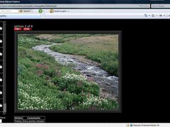 C# Gallery in action.