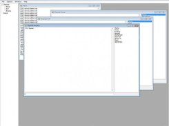 version beta