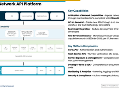 Csmart Network API Enablement Platform Screenshot 1