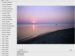 Main Window (alpha_2013-01-17)