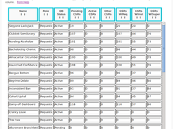 Show counts of CSRs associated with each application Role entry