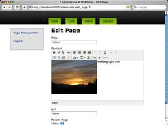 Edit Page View with TinyMCE