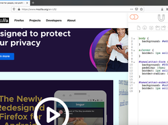 CSS Injector Screenshot 1