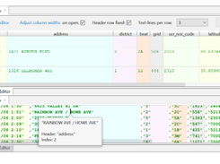 CSV Editor Screenshot 1