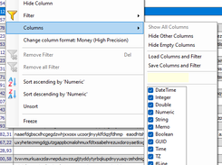 Column Filter