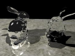 two bunnies