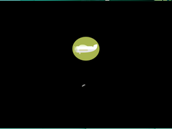 Boot Screen