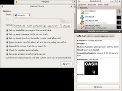 Current Track 1.0 for Linux gaim 2.0 beta6