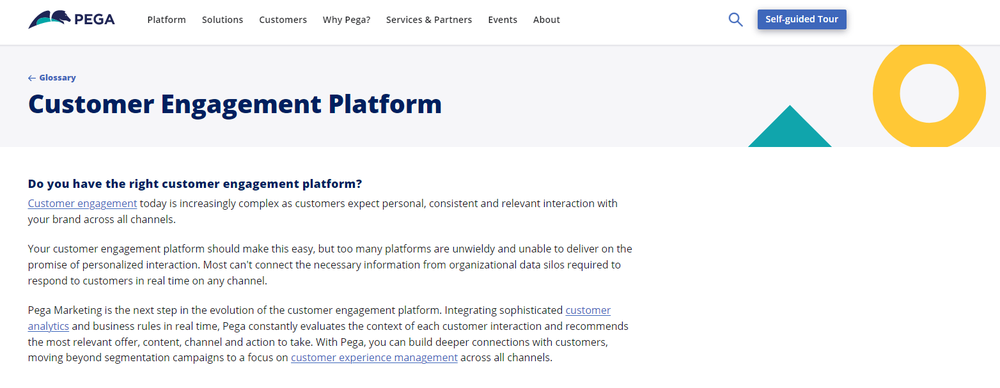 Pega Customer Engagement Platform Screenshot 1
