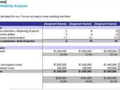 Customer profitability analysis worksheet