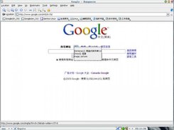 Chinese to English Screen Capture