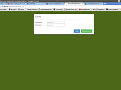 Login Screen