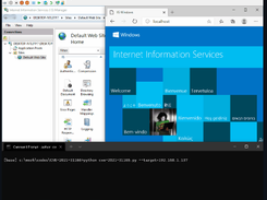 CVE-2021-31166 Screenshot 1