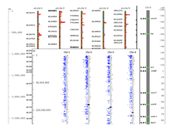 BACs, hit densities, CGH, cytogenetic markers