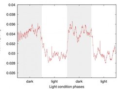 statistics: Peaks detection