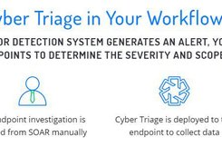 Cyber Triage Screenshot 1