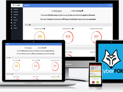 CyberFOX DNS Filtering Screenshot 1
