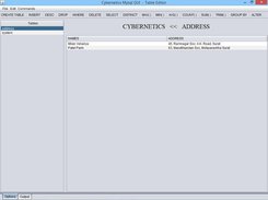 Cybernetics GUI TO MySQL Screenshot 5