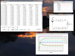 Demonstation program: Simple simulator of first order linear feedback loop