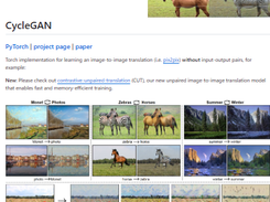 CycleGAN Screenshot 1