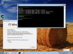 Cygwin Screenshot 1