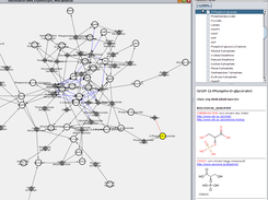 SBML Annotation Display