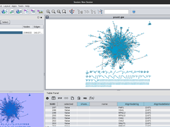 CytoscapeAlignmentDrawerPlugin Screenshot 1