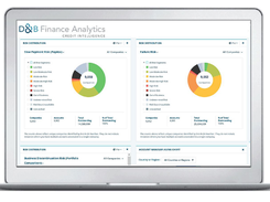 D&B Finance Analytics Screenshot 1