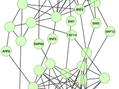SWI/SNF domain-domain interaction network