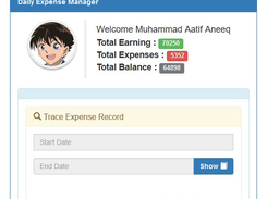 Showing overall earning/expenses/balance