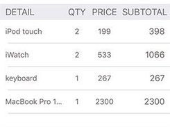 Daily Sales Record Screenshot 3