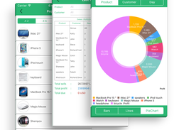 Daily Sales Record Screenshot 2