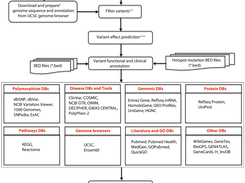 DaMold workflow