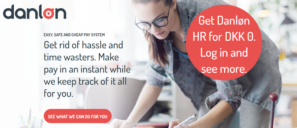 Danløn Screenshot 1
