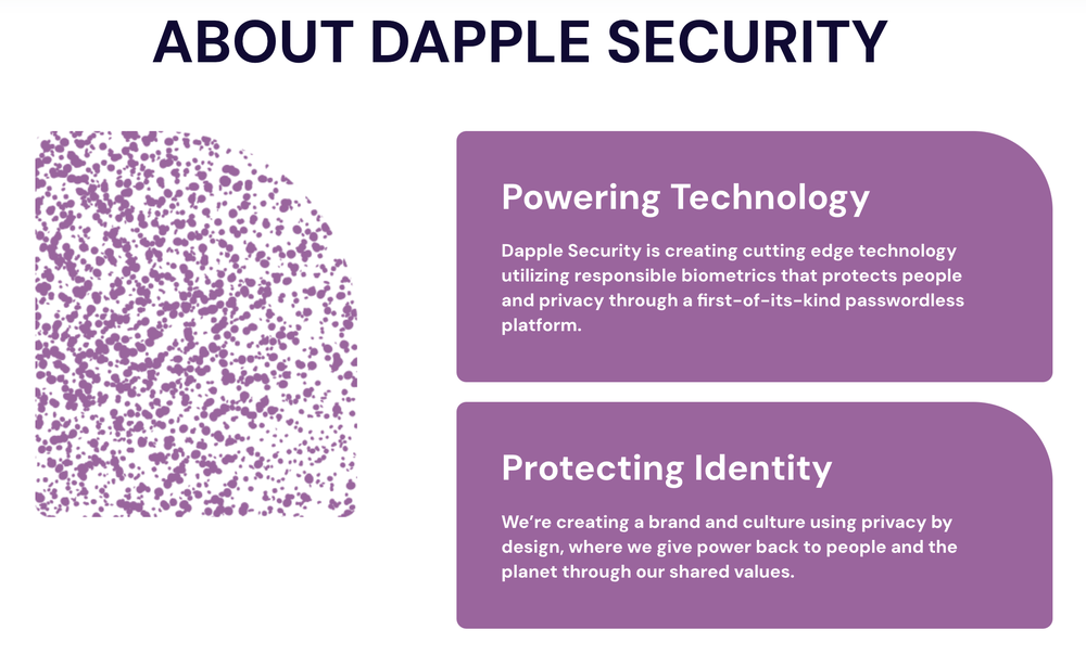 Dapple Security Screenshot 1