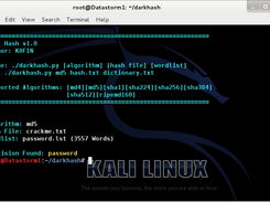 Hash cracking with darkhash.py