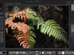 darktable Screenshot 2