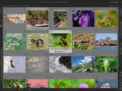 Main interface