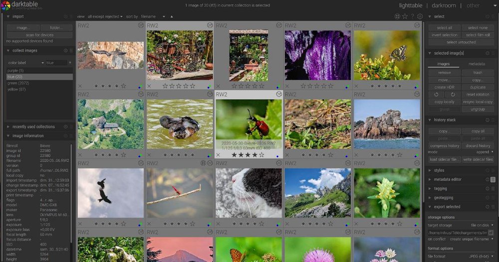 darktable Screenshot 1