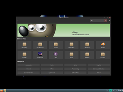 Software Manager