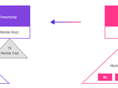 Darwinia Network Screenshot 3